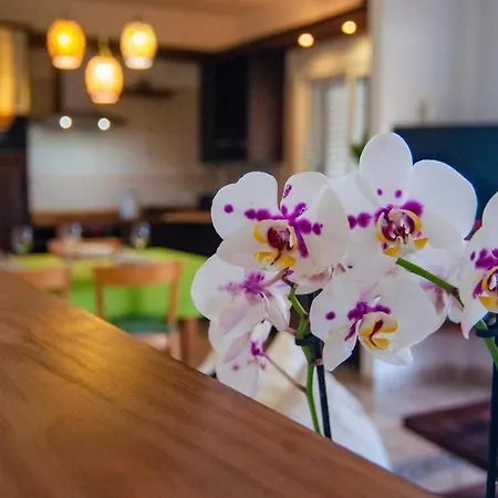 Holiday home Amapola El Medano (Tenerife)